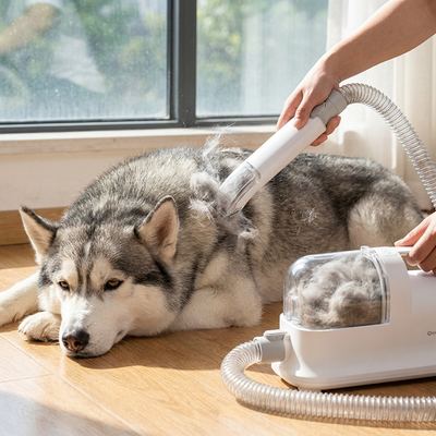 husky coat blowout